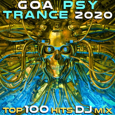 Vibrations (Goa Psy Trance 2020 DJ Mix Edit) cover art