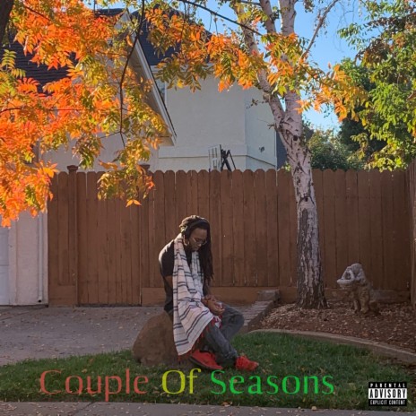 Couple Of Seasons cover art