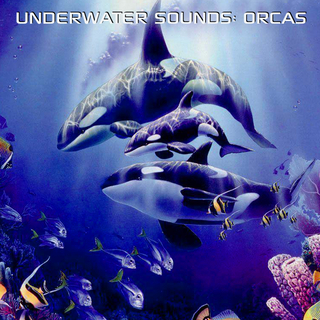 Underwater Sounds: Orcas ft. Discovery Nature Soundscapes, Nature Soundscapes, Discovery Nature Sound, Discovery Soundscapes & Discovery White Noise