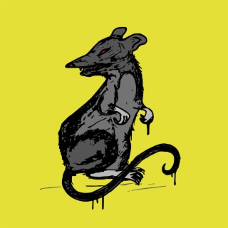 Funeral Macaco
