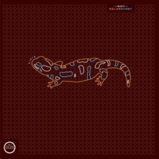 Salamander