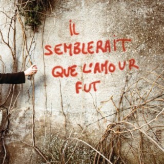 Il semblerait que l'amour fut
