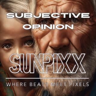 Subjective Opinion (Vol.2)