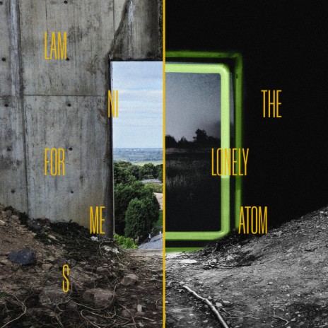 In Amber cover art