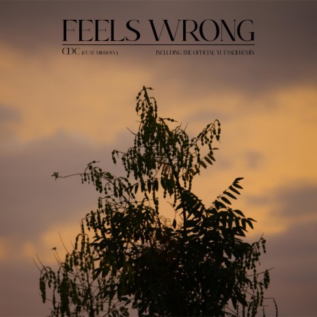Feels Wrong (YutaSeii Remix) ft. Mirrow & YutaSeii cover art