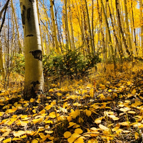 Autumn Equinox cover art