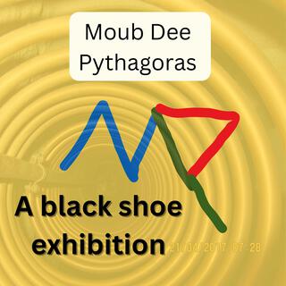A black shoe exhibition