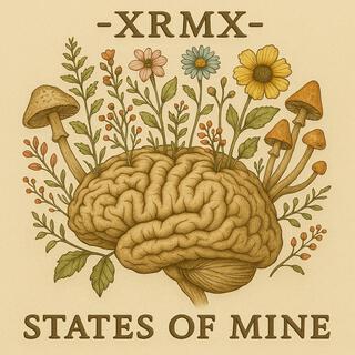States of Mine