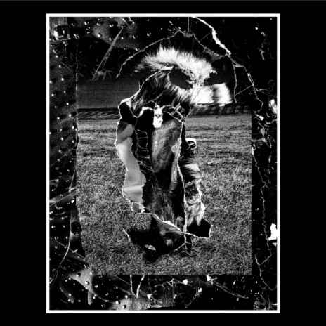 Snap Out Of It (II) cover art