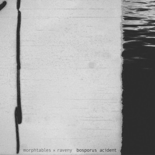 The Last Acid Dream Of A Caterpillar ft. Raveny cover art