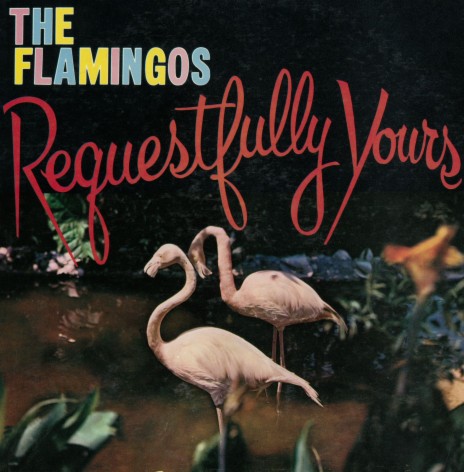 The Flamingos