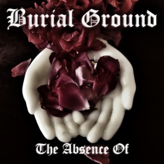 The Absence Of