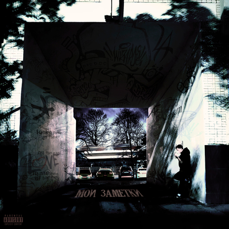 Такая жизнь cover art