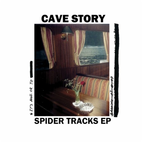 Cleaner cover art
