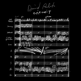 David Rubato