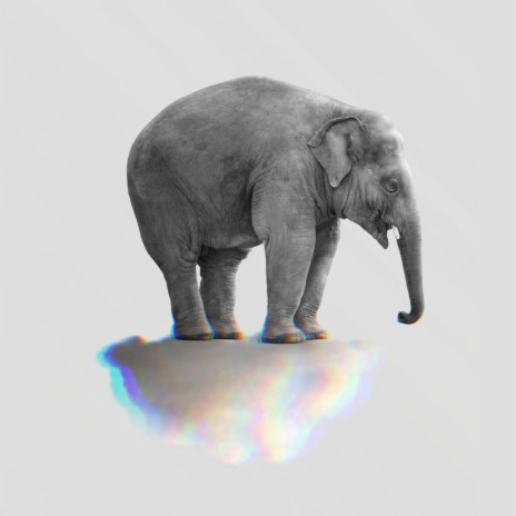 Chordata cover art