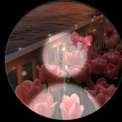 author avatar