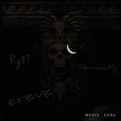 Vultures cover art