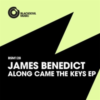 Along Came The Keys (Original Mix) cover art