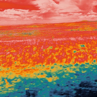 Swelter