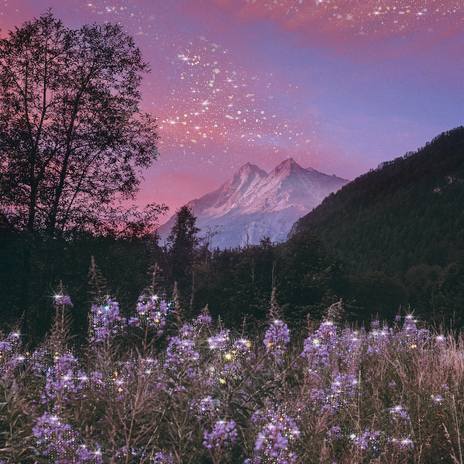 Absolutely Probably ft. hometown mountain