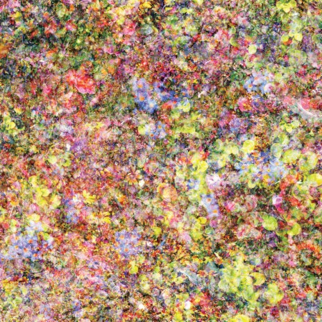 Morning Song cover art