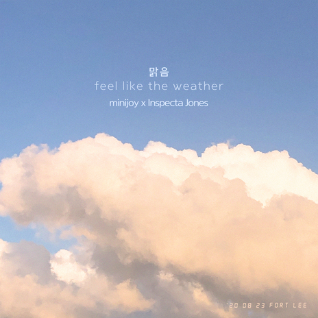 Feel like the weather (Remix) ft. Inspecta Jones cover art