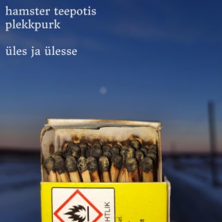 üles ja ülesse