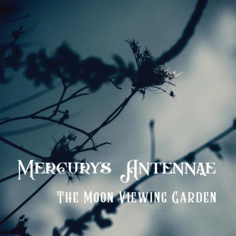 The Killing Time (Dead Leaves Mix 2018) cover art