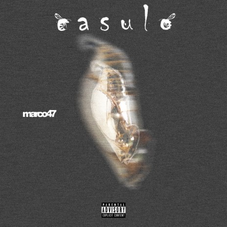 Casulo cover art