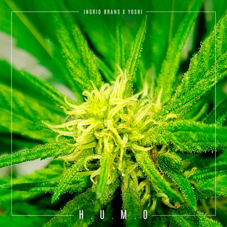 H.U.M.O. ft. Yoshi cover art
