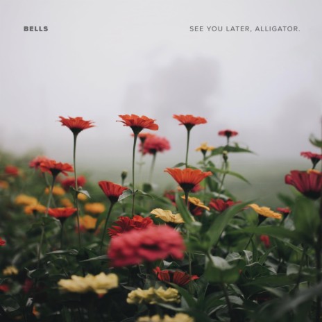 See You Later, Alligator cover art