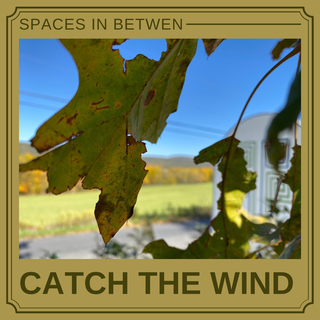 Catch The Wind