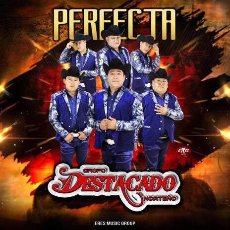 PERFECTA
