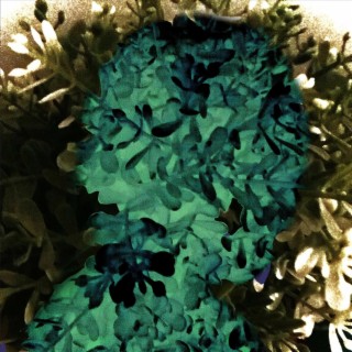 Between Cracks, Flowers May Bloom