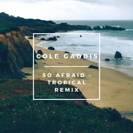 So Afraid (Tropical Remix) cover art