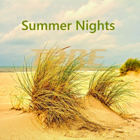 Summer Nights (Radio Edit) cover art