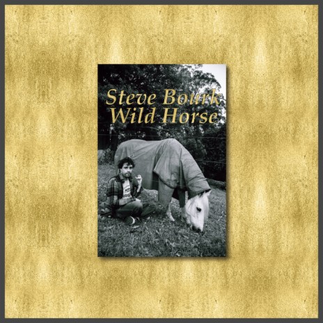 Wild Horse cover art