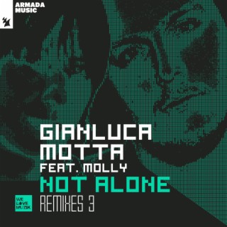 Not Alone (Remixes 3) cover art