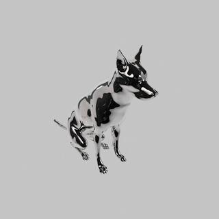 Puppy