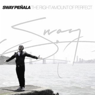 The Right Amount of Perfect cover art