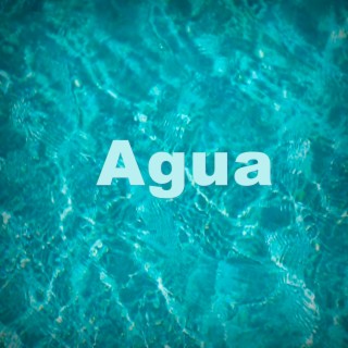 Sonido de Agua en Bambu