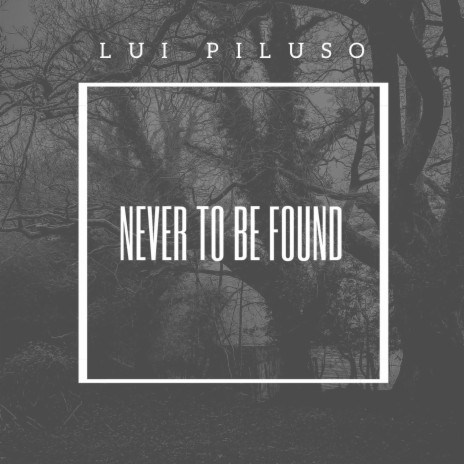 Never to be found cover art