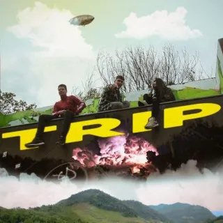 Trip cover art