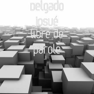 Delgado josué