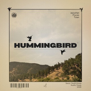 Hummingbird