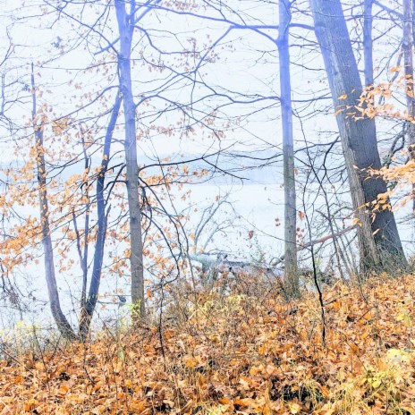 Fall cover art