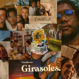 Girasoles