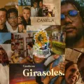 Girasoles