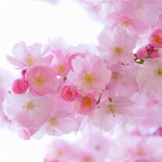 Spring Breeze